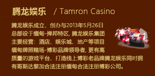腾龙公司